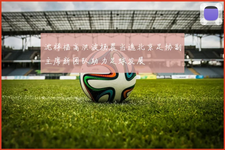 沈祥福高洪波杨晨当选北京足协副主席新团队助力足球发展