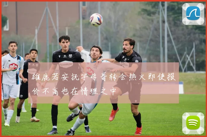 雄鹿若安抚字母哥转会热火即使报价不高也在情理之中